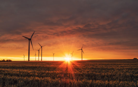 Das Foto zeigt auf einem Feld stehende Windräder im Sonnenuntergang.